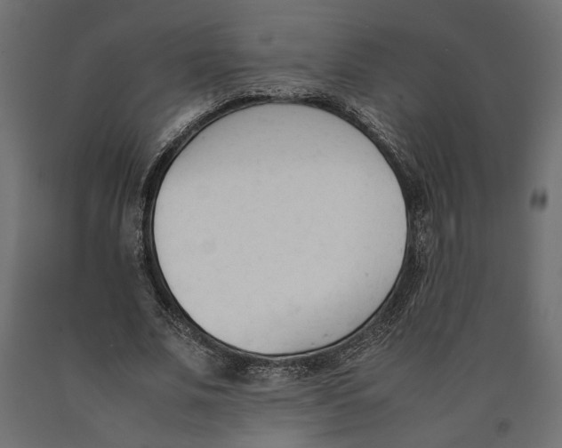 X0000090410679200708031043