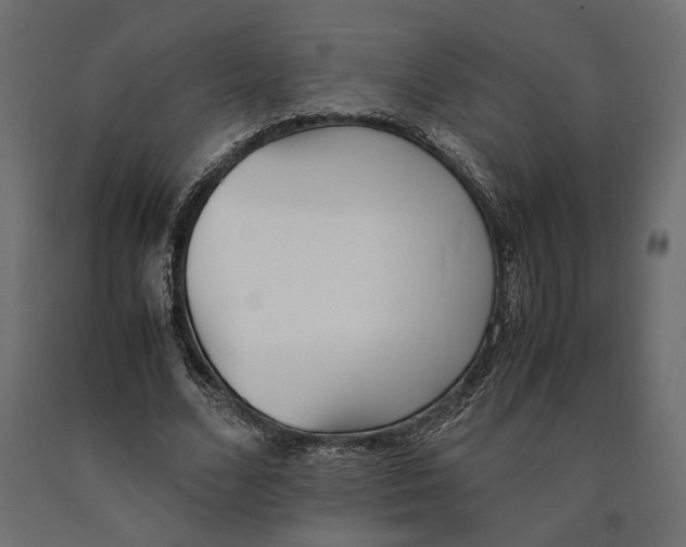 X0000090410680200708031043