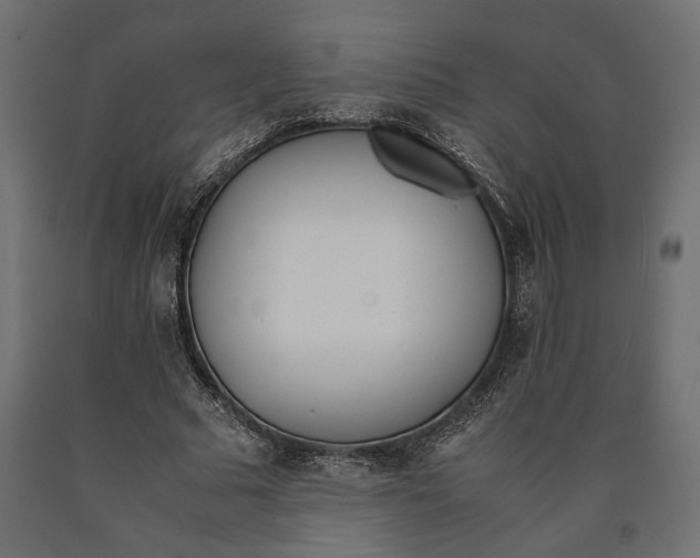 X0000090410681200708031043
