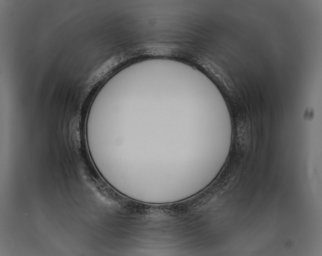 X0000090410682200708031043