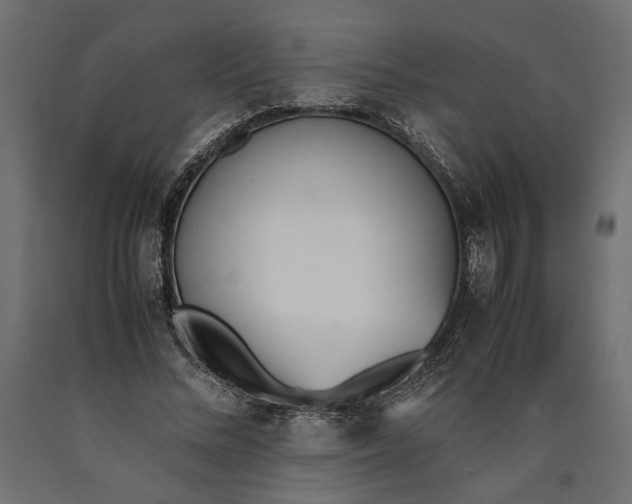 X0000090410684200708031043
