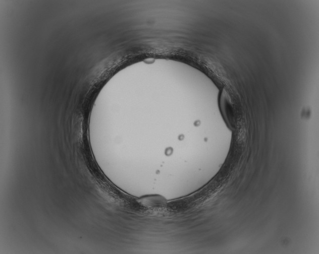 X0000090410685200708031043