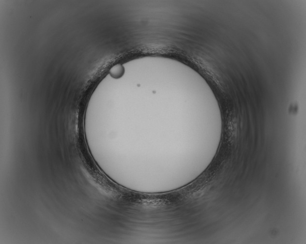 X0000090410686200708031043