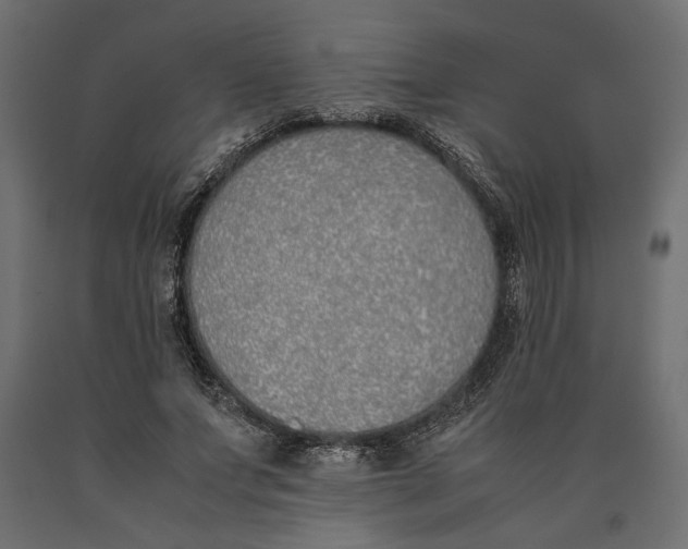 X0000090410687200708031043