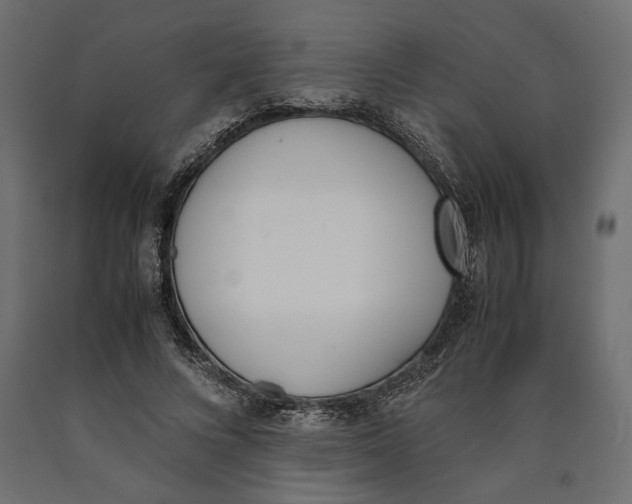 X0000090410688200708031043