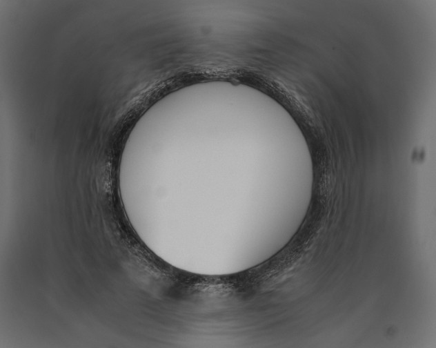 X0000090410689200708031043