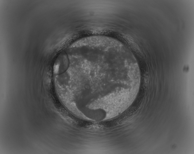 X0000090410691200708031043