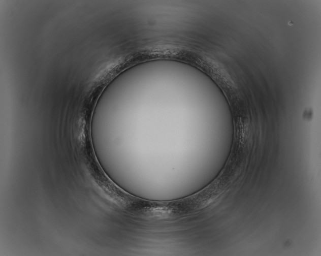 X0000090410692200708031043