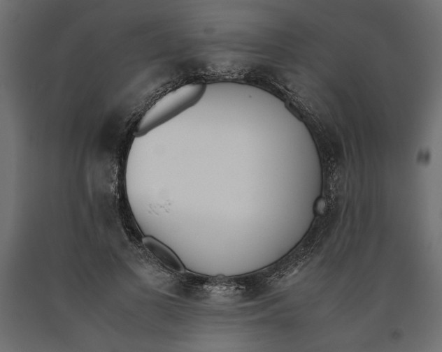 X0000090410693200708031043