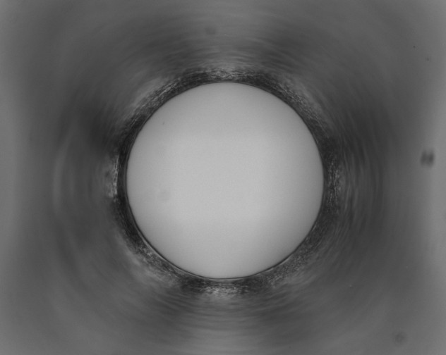X0000090410694200708031043
