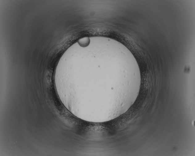 X0000090410695200708031043