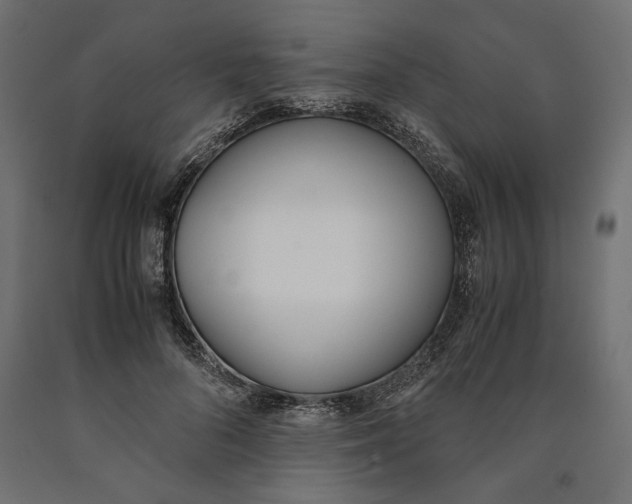 X0000090410696200708031043