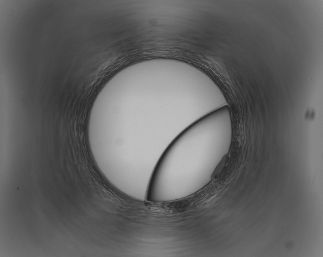 X0000090410697200708031043