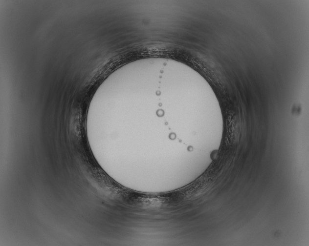 X0000090410698200708031043