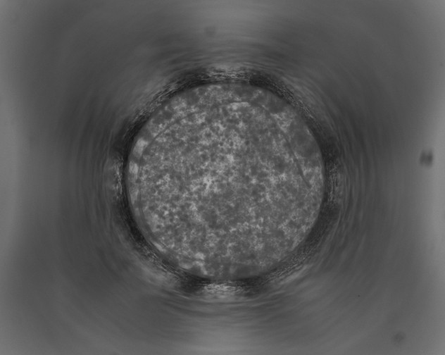 X0000090410699200708031043