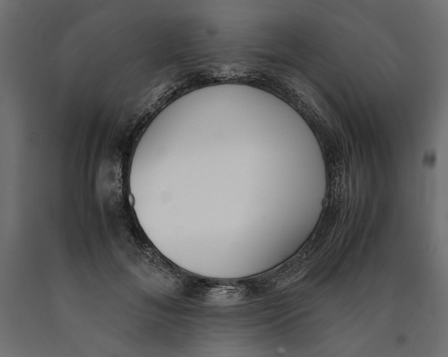 X0000090410700200708031043