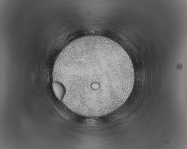 X0000090410703200708031043