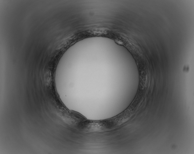 X0000090410704200708031043