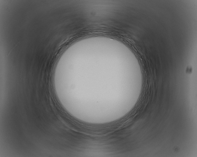 X0000090410705200708031043