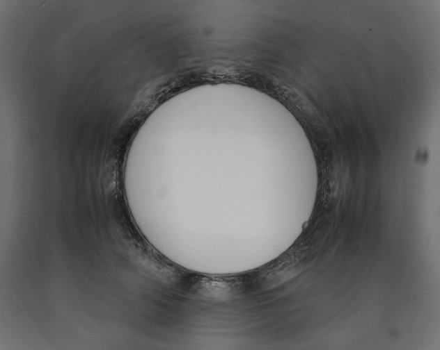 X0000090410706200708031042