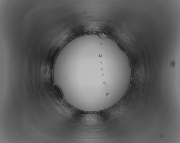 X0000090410708200708031042
