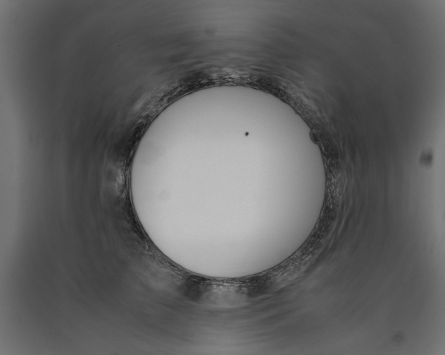 X0000090410709200708031042