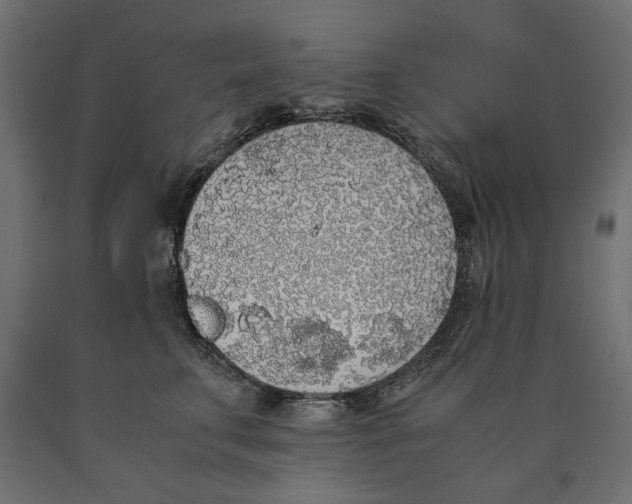 X0000090410711200708031042