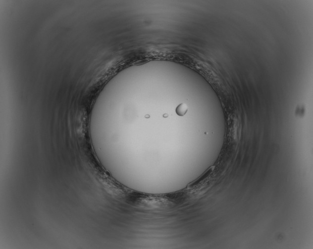 X0000090410712200708031042