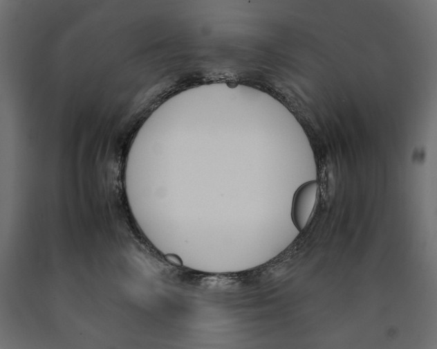 X0000090410714200708031042