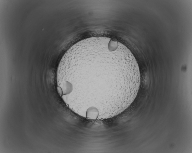 X0000090410715200708031042