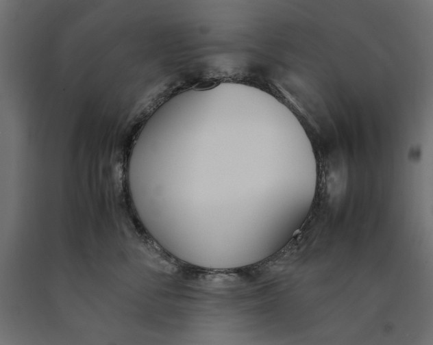 X0000090410716200708031042