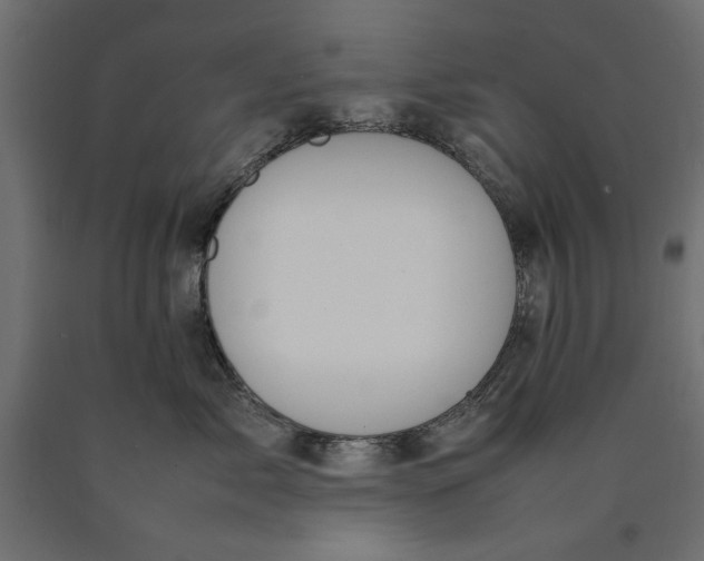 X0000090410717200708031042