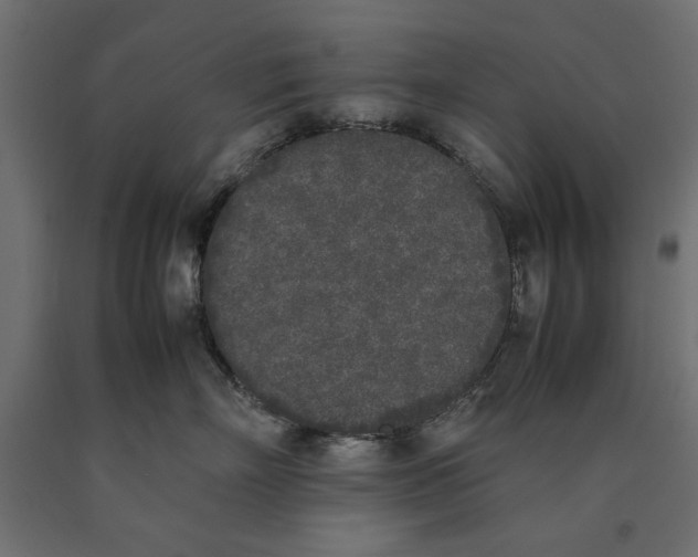 X0000090410718200708031042