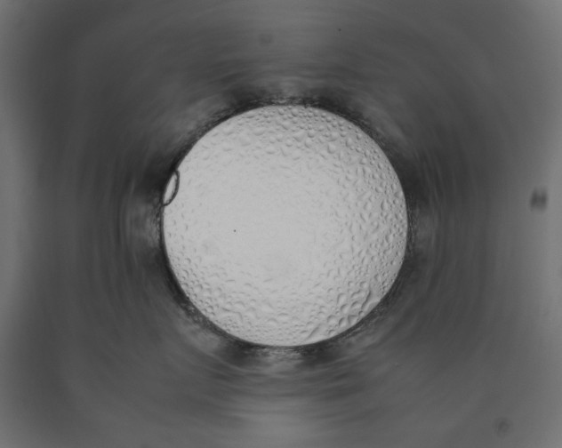 X0000090410719200708031042