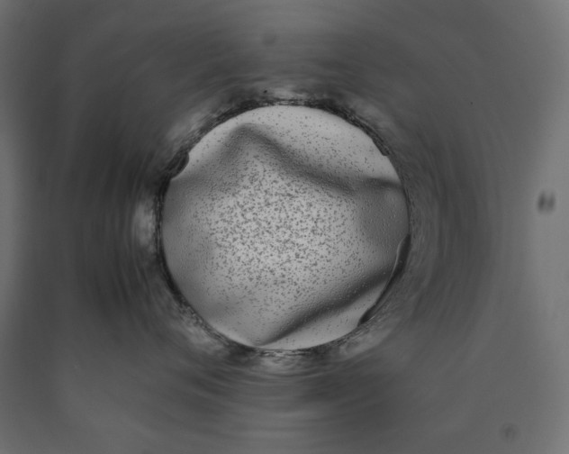 X0000090410720200708031042