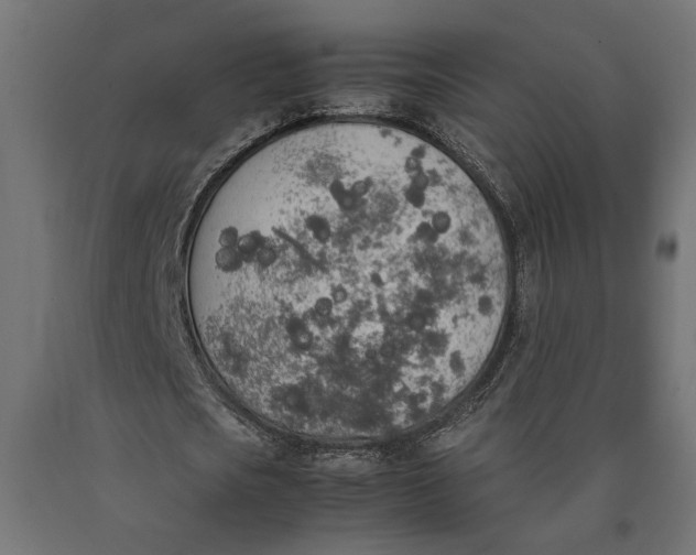 X0000090410721200708031041