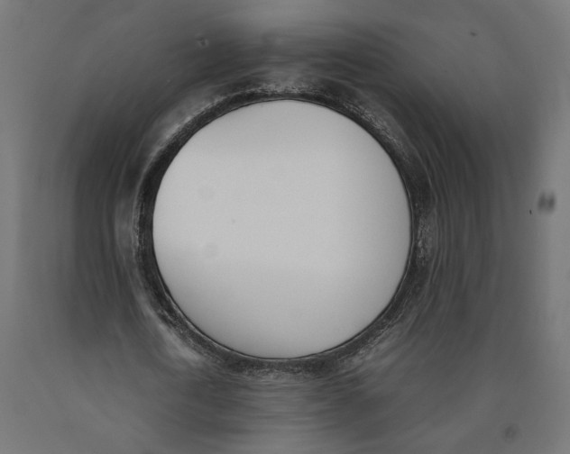 X0000090410722200708031041