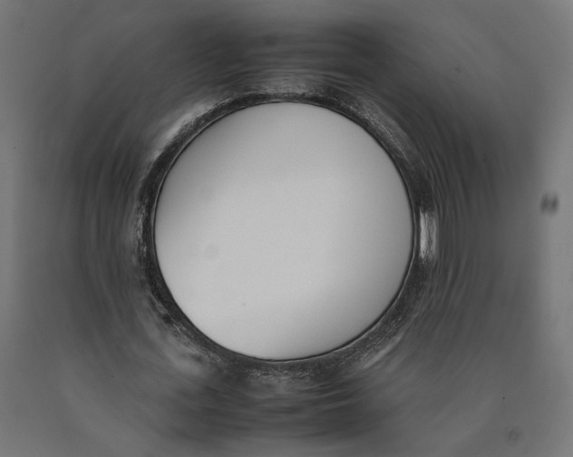 X0000090410723200708031042