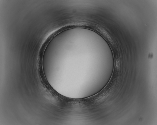 X0000090410724200708031042