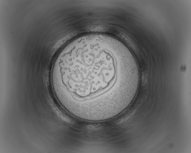 X0000090410725200708031042
