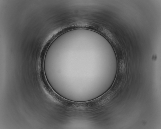 X0000090410726200708031042