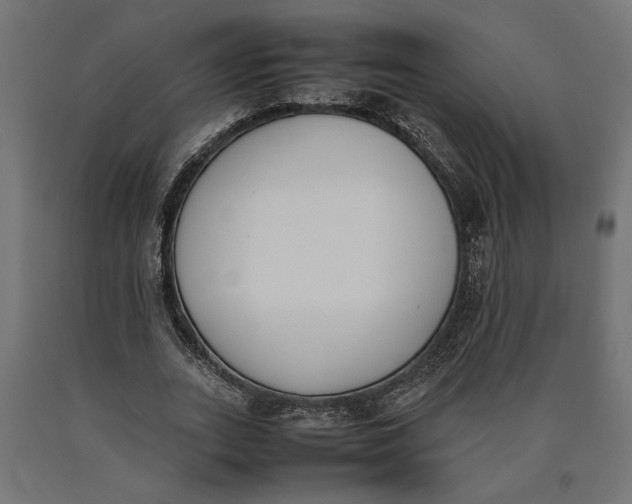 X0000090410727200708031042