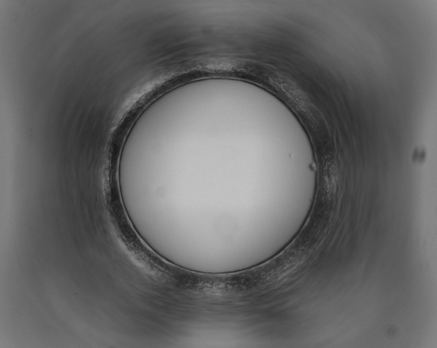 X0000090410728200708031042