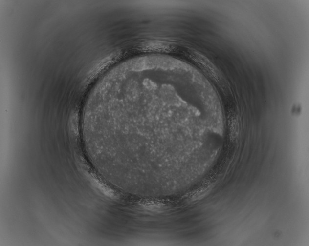 X0000090410729200708031042