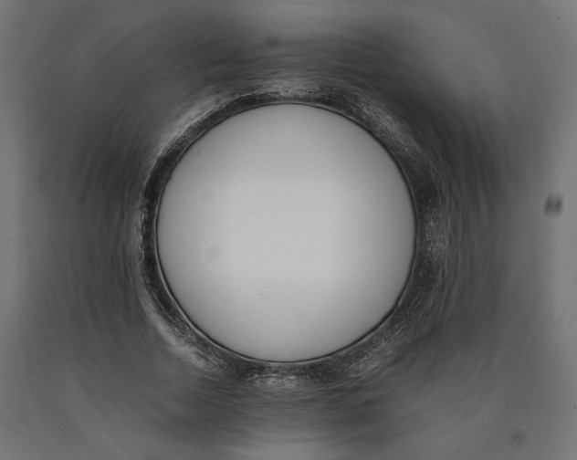 X0000090410730200708031042