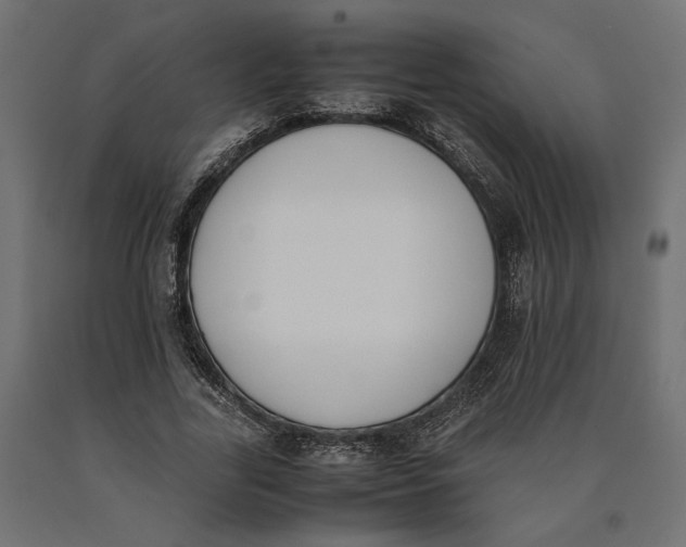 X0000090410731200708031042