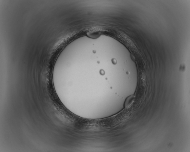 X0000090410732200708031042
