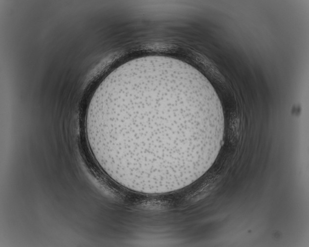 X0000090410734200708031042
