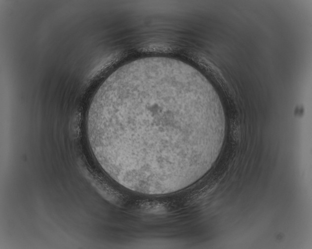 X0000090410735200708031042