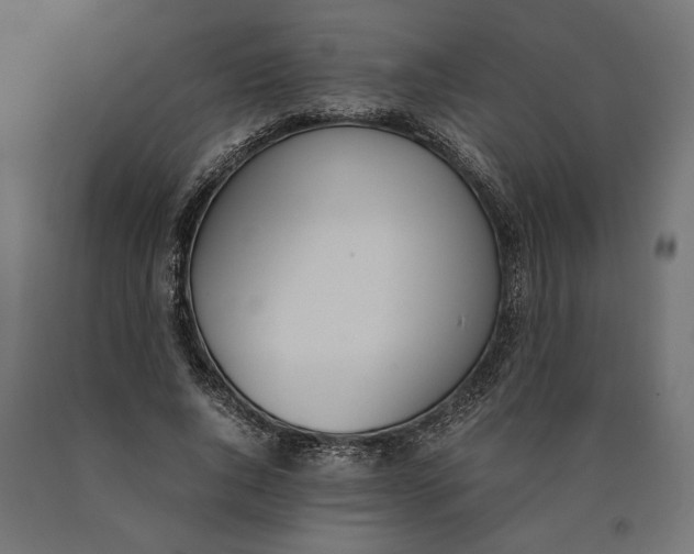 X0000090410736200708031042